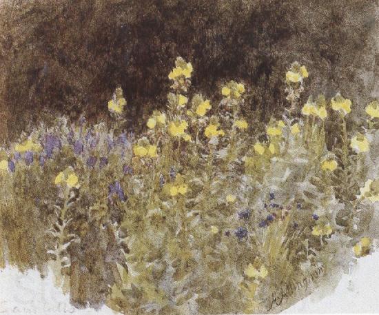 Helen Allingham,R.W.S Studies of Flowers (mk37) France oil painting art